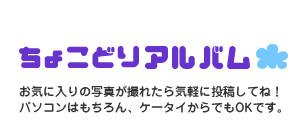 ���傱�ǂ�A���o��